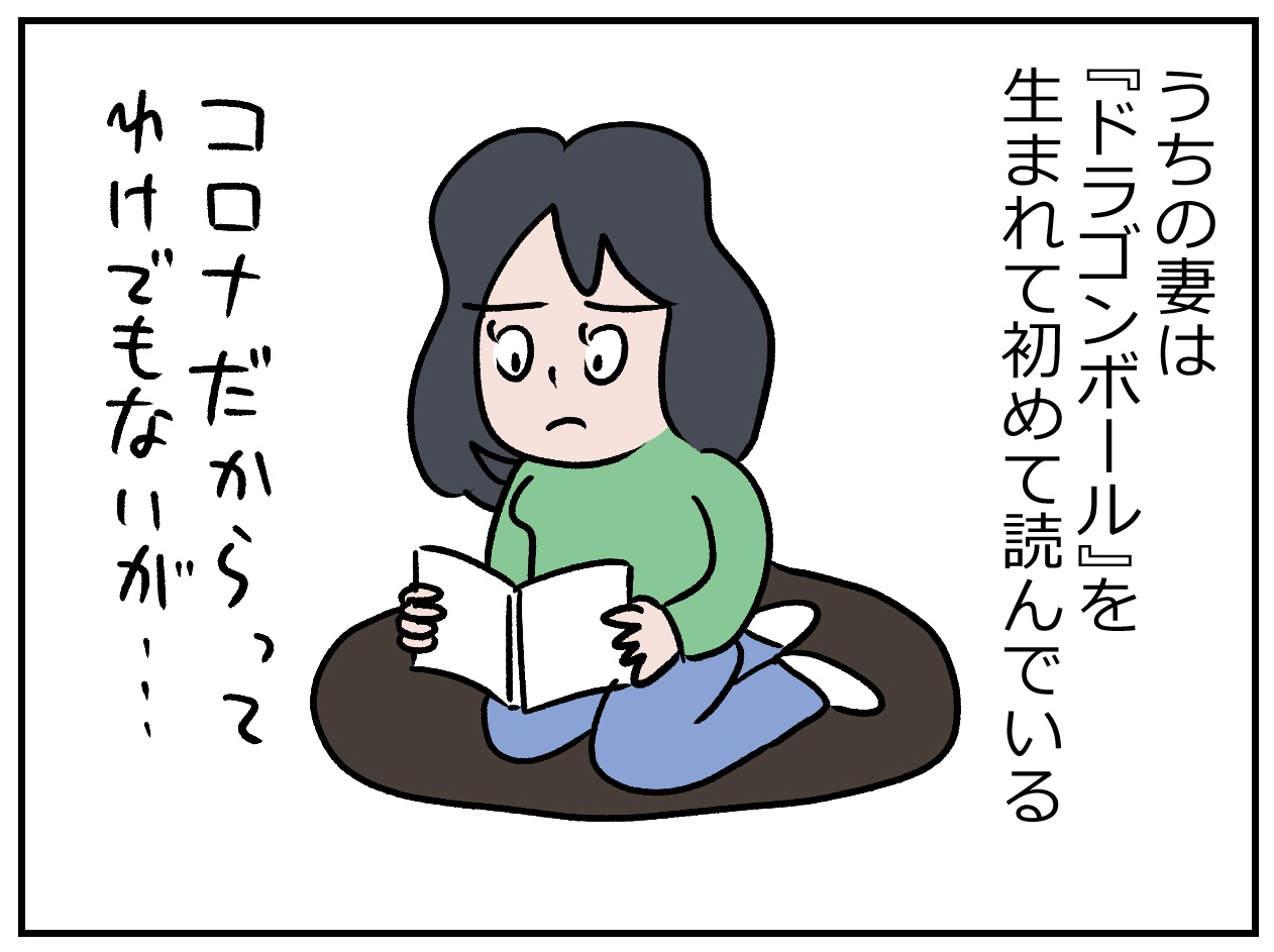 生まれて初めて ドラゴンボール を読んでいる みんな家でなにしてる 50歳までにしたい100のコト